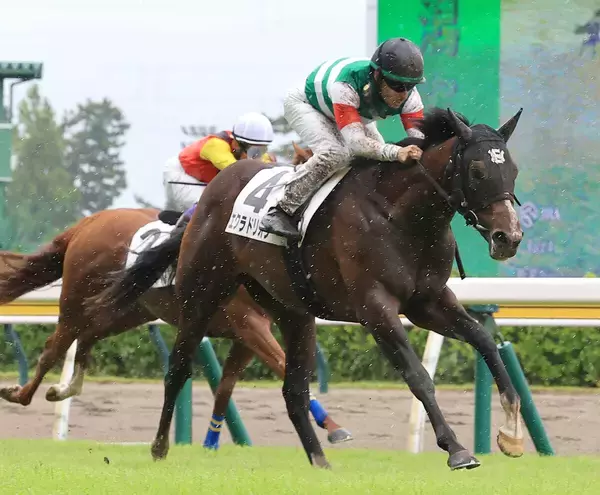 【新潟４Ｒ・２歳新馬】母はＧ１馬　単勝１・５倍のエクラドリオン完勝　ルメール騎手「１６００メートルも行ける」