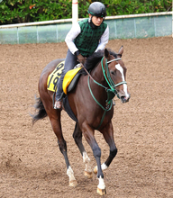 【エニフＳ・金曜気配】好走の条件そろったリジルが変身　奥村豊調教師「勝ち負けになってもおかしくない」