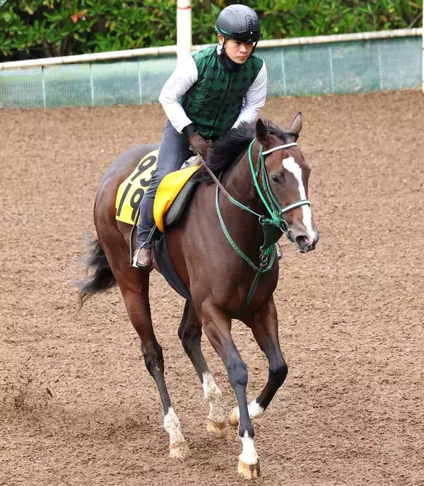 【エニフＳ・金曜気配】好走の条件そろったリジルが変身　奥村豊調教師「勝ち負けになってもおかしくない」