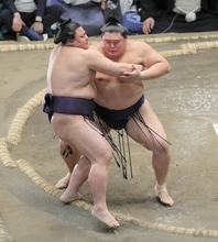 大の里は４勝目　琴桜が敗れ、勝ちっ放しは消える　綱取りの霧島、大関昇進目指す熱海富士はそろって４勝目　安青錦は連敗