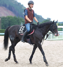 ２冠馬ロブチェンと神戸新聞杯で鼻差２着の接戦　アルトラムスが菊花賞を回避　社台サラブレッドクラブが発表