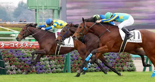 【中山６Ｒ・２歳新馬】９番人気の伏兵リュクスパトロールが押し切り　西村淳騎手「よくしのいでくれた」