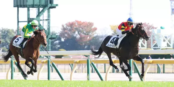 【私の推し馬】力強いガッツポーズは１年目史上、最上級にしびれた！佐藤悠調教師期待のコレオシークエンスに ◎つける！