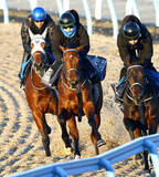 「【京成杯・浅子が見た】「頼もしい」「すごさを知っていた」師匠・手塚久調教師にポルフュロゲネトスで挑む矢嶋調教師の心中」の画像1