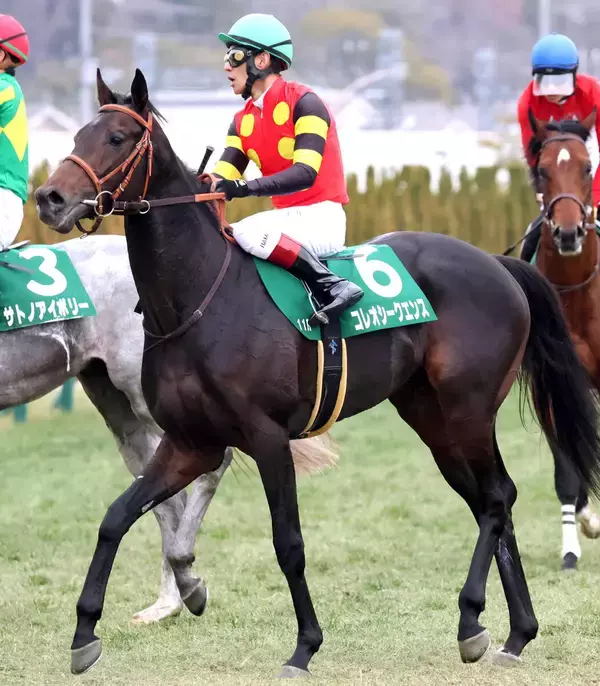 【若葉Ｓ・松ケ下の特注馬】重賞初挑戦の前走で想像以上の強さを見せたコレオシークエンスの素質を再評価
