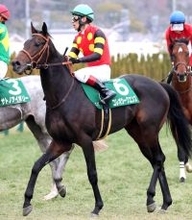 【若葉Ｓ・松ケ下の特注馬】重賞初挑戦の前走で想像以上の強さを見せたコレオシークエンスの素質を再評価