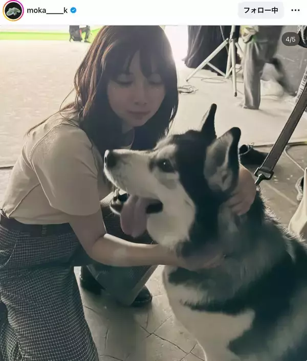 上白石萌歌、ワンちゃんと遊ぶ様子に「かわいいです」「素敵な２ショットです」