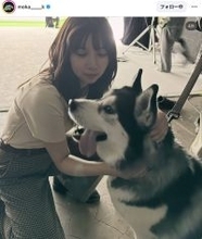 上白石萌歌、ワンちゃんと遊ぶ様子に「かわいいです」「素敵な２ショットです」