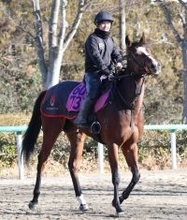 【注目馬動向】上原佑調教師「丹内騎手がすごく評価してくれている」　エンプレスケーは橘Ｓへ