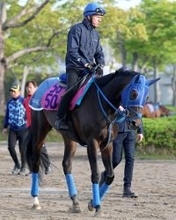 【フローラＳ】レーン騎手と初コンビのラフターラインズは４枠５番　初戦圧勝のラベルセーヌは２枠２番