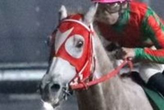 「お前だったのか、オルフェの後継は」「凄い競馬」名古屋競馬の単勝１・２倍、大本命馬のレースぶりにネット騒然　駿蹄賞２着のアストラビアンコ
