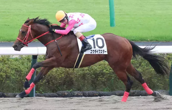 【中山６Ｒ・２歳新馬】ルメール騎手が思わず口笛を吹くほどの強さ！　５馬身差Ｖのユウライクスターでこの日４勝目！