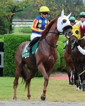 【シリウスＳ】川田将雅騎手「パドックの時点で…」違和感が　昨年２着馬サイモンザナドゥは１０着
