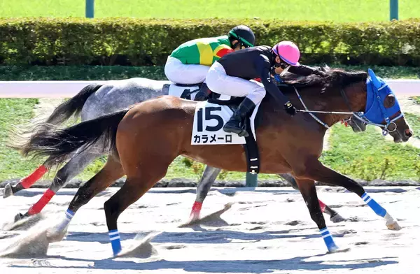 【東京４Ｒ・２歳新馬】６番人気のカラメーロがメンバー最速の末脚でＶ　大野拓弥騎手「追ってからもしっかり走ってくれた」