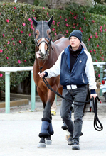 【サウジカップデー】エキサイトバイオがレッドシーターフハンデの招待を受諾　パンジャタワーも予定通り遠征へ