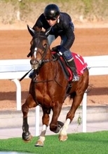 【レッドシーターフＨ】牝馬初Ｖを狙うヴェルミセルが芝コースでしっかり　吉村調教師「内枠はよかったです」