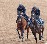 「【高松宮記念】レッドモンレーヴは２頭併せで楽に先着　蛯名正義調教師「動きは良かった」」の画像1