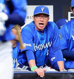 「【ＤｅＮＡ】投打かみ合わず遠い初白星　「先発から複数点を取る攻撃を目指したい」と相川亮二監督」の画像1