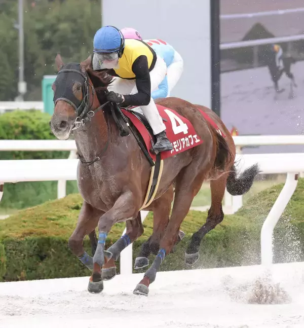 【兵庫女王盃】ルメール騎手「中央競馬でも結果を出せる」メモリアカフェが差し切って重賞２勝目