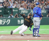 「【巨人】平山功太が出場５試合連続ヒット！→先制のホームイン　５月は打率３割超」の画像1