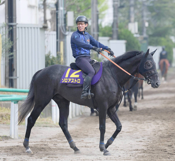 【注目馬動向】日本ダービー回避のきさらぎ賞勝ち馬ゾロアストロは新潟記念で復帰へ　サンデーサラブレッドクラブが発表