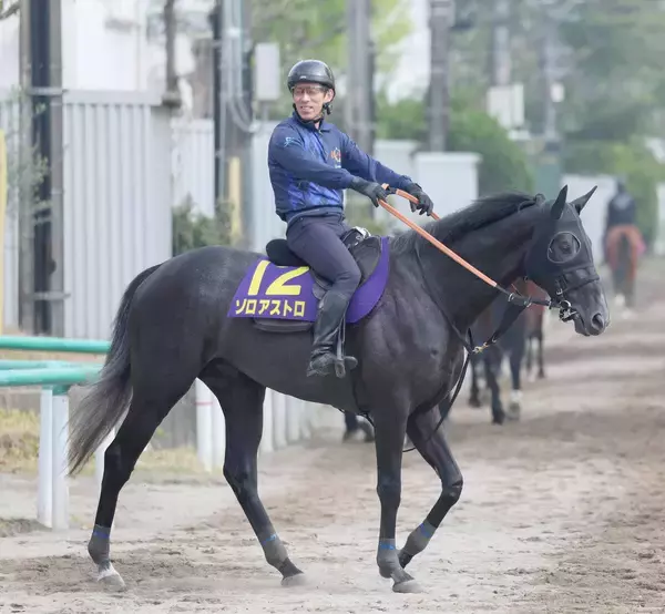 【注目馬動向】日本ダービー回避のきさらぎ賞勝ち馬ゾロアストロは新潟記念で復帰へ　サンデーサラブレッドクラブが発表