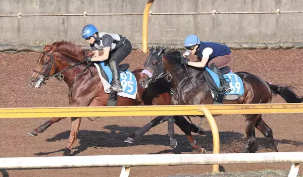 【小倉記念】しっかり食べて元気いっぱい　素質馬ガイアメンテが先着で万全アピール　陣営「ピリピリするところもない」