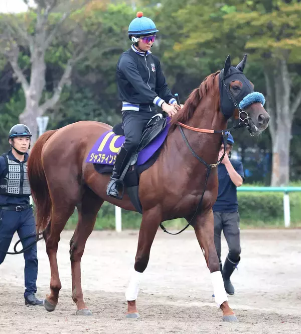 【菊花賞・土曜気配】セントライト記念覇者ジャスティンシカゴの陣営は雨を歓迎「この馬にとってはいい」