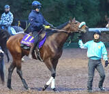 「【有馬記念】ダート重賞３勝のサンライズジパングは軽快に登坂　前川調教師「ちょうどいい感じで迎えられそうです」」の画像1