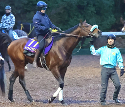 【有馬記念】ダート重賞３勝のサンライズジパングは軽快に登坂　前川調教師「ちょうどいい感じで迎えられそうです」