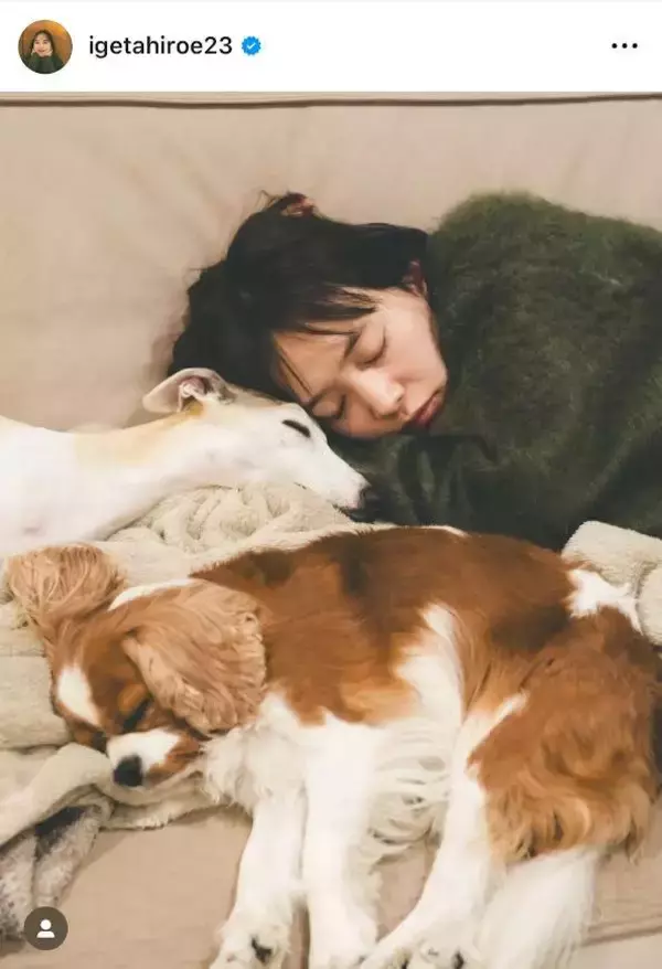 井桁弘恵、正月の寝顔ショットに反響！「寝落ちの寝顔も天使！」「可愛いすぎますね」とファンほっこり