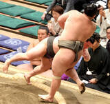 「幕下・炎鵬が連勝発進　「少しずつ昔の気持ちが戻ってきた。自分の人生、悔いのないように生きていきたい」」の画像1