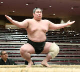 「元アメフト選手・阿龍　左膝の大ケガから４場所ぶり復帰「焦らず相撲を一から作り直す」」の画像1