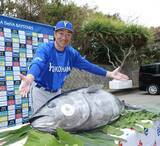 「【ＤｅＮＡ】キャンプ第２クールスタート　マルハニチロから７０キロのクロマグロ差し入れ」の画像1