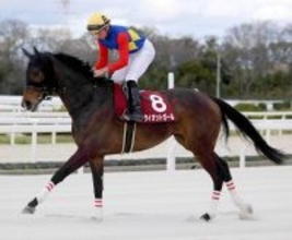 【兵庫女王盃】２４年Ｖライオットガールは７枠７番　ルメール騎手のメモリアカフェは４枠４番　枠順確定