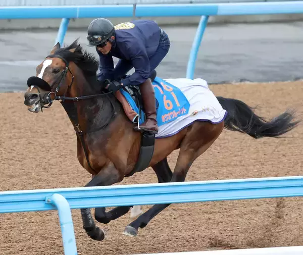 【川崎記念】半兄は東京大賞典を４連覇　ホウオウルーレットは岩田康誠騎手が「すごく良い」と太鼓判