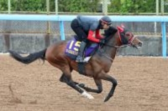 【天皇賞・春】最終調整終えたマイネルカンパーナは抜群の仕上がり　青木調教師「パツパツ」「過去イチは間違いない」と自信