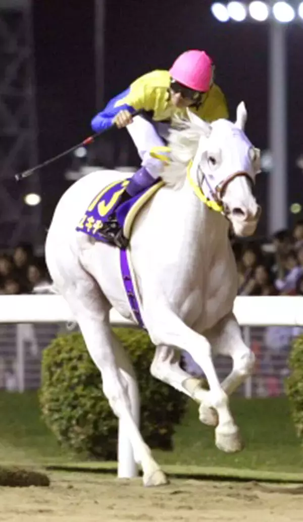 「これは嬉しいニュース」２１歳、今も人気の白毛馬がノーザンホースパーク入り　「豪華」「会いに行きたい」ユキチャンに注目集まる