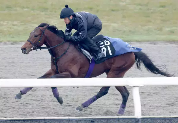 【共同通信杯】ダービー馬に「似ていると思う」友道調教師が高評価のラヴェニューは軽快な動き披露