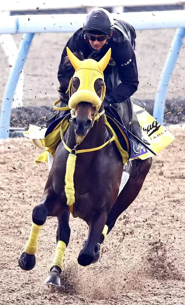 【フェブラリーＳ】ウィルソンテソーロはレース前日に東京競馬場へ移動　高木調教師「１泊した方が…」