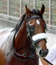 【注目馬動向】アーモンドアイの初子アロンズロッド　明石特別の鞍上は引き続きルメール騎手