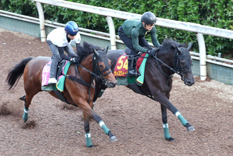 【Ｇ１トク捜リレー】栗東・松ケ下記者のオークス注目は？　樫の女王の背中知るトレーナーがひと工夫を加えた無傷２連勝馬