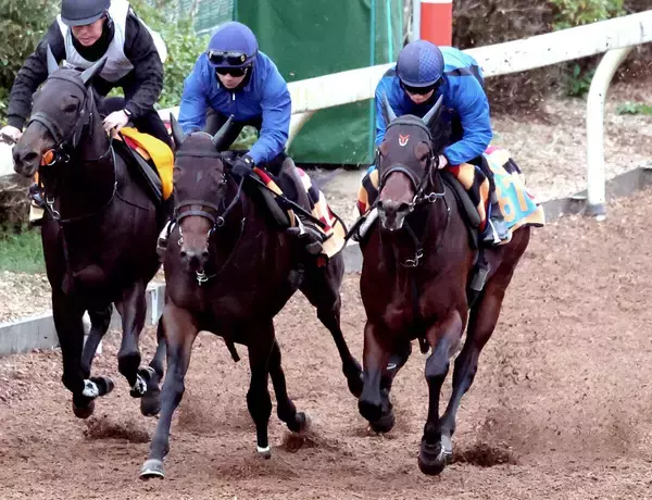 【カペラＳ】ポッドベイダー仕上がり万全　荻野極騎手「満足いく動きで楽しみになった」