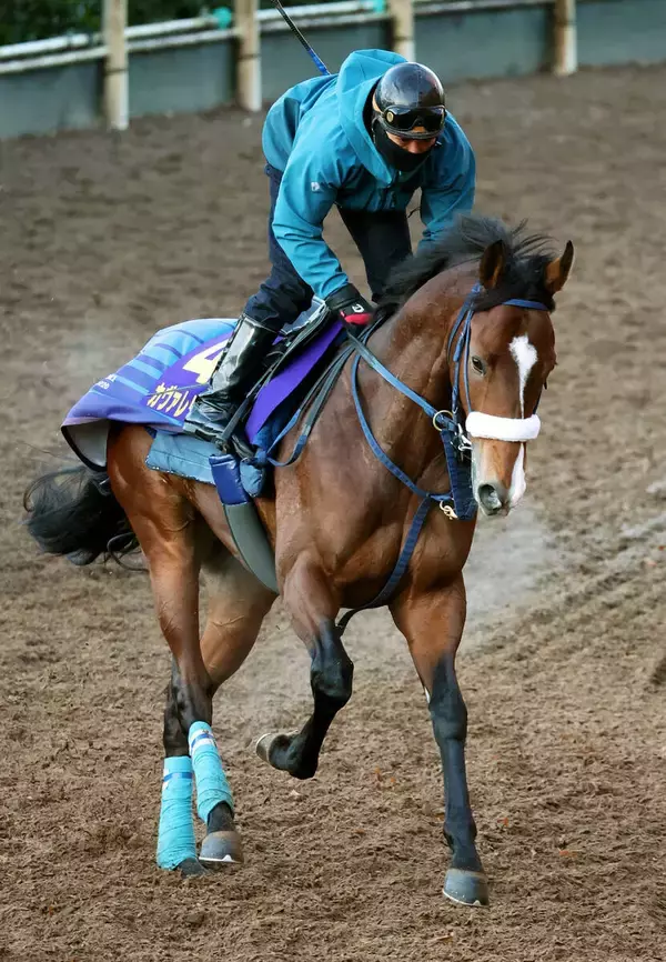 【朝日杯ＦＳ】カヴァレリッツォは先週末に「本追い切り」消化　吉岡調教師「仕掛けてからの反応がよかったです」