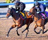 「【ターコイズＳ】ウンブライルは好調維持の動き　陣営「最後まで集中して走っていた」」の画像1