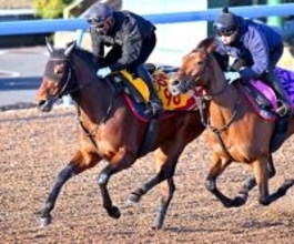 【ターコイズＳ】ウンブライルは好調維持の動き　陣営「最後まで集中して走っていた」