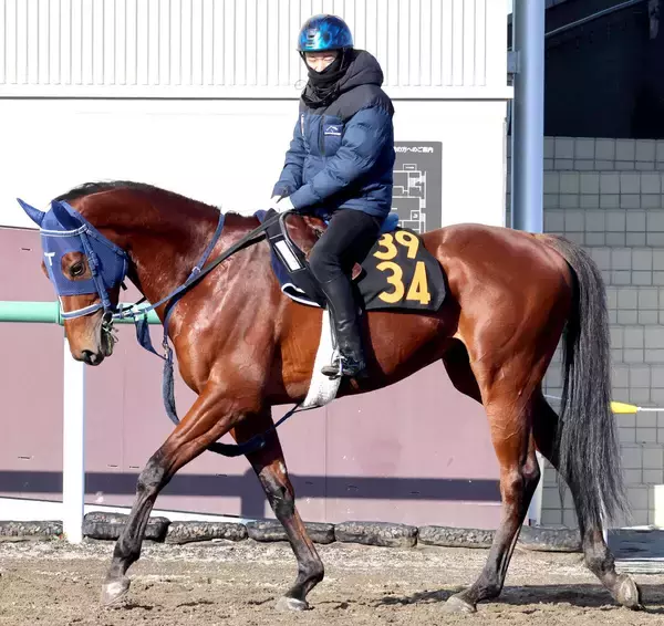 【ＰＯＧ】母が英、愛、独オークスで好走したアーティキュレート　手塚久調教師「乗りながら体が締まってきた」