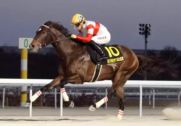 【かきつばた記念】ダノンフィーゴが３馬身差の完勝で重賞初制覇　友道康夫調教師は交流重賞初タイトル