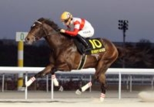 【かきつばた記念】ダノンフィーゴが３馬身差の完勝で重賞初制覇　友道康夫調教師は交流重賞初タイトル