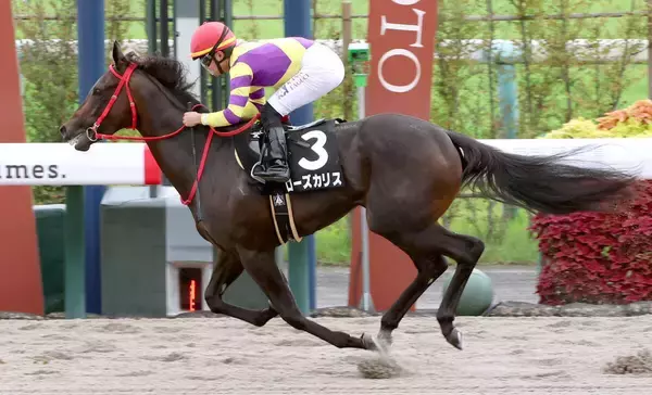 【報知杯ＦＲ】阪神ＪＦ１３着のローズカリスは距離短縮で怖い存在　大橋調教師「１６００メートルより...」